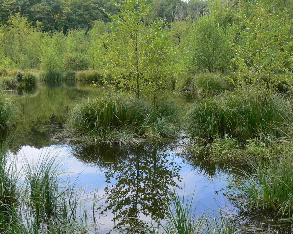 Naturdenkmal Blutsee