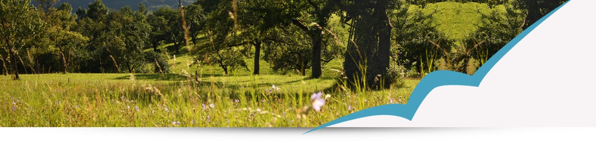 Integriertes Ländliches Entwicklungskonzept (ILEK 2014)