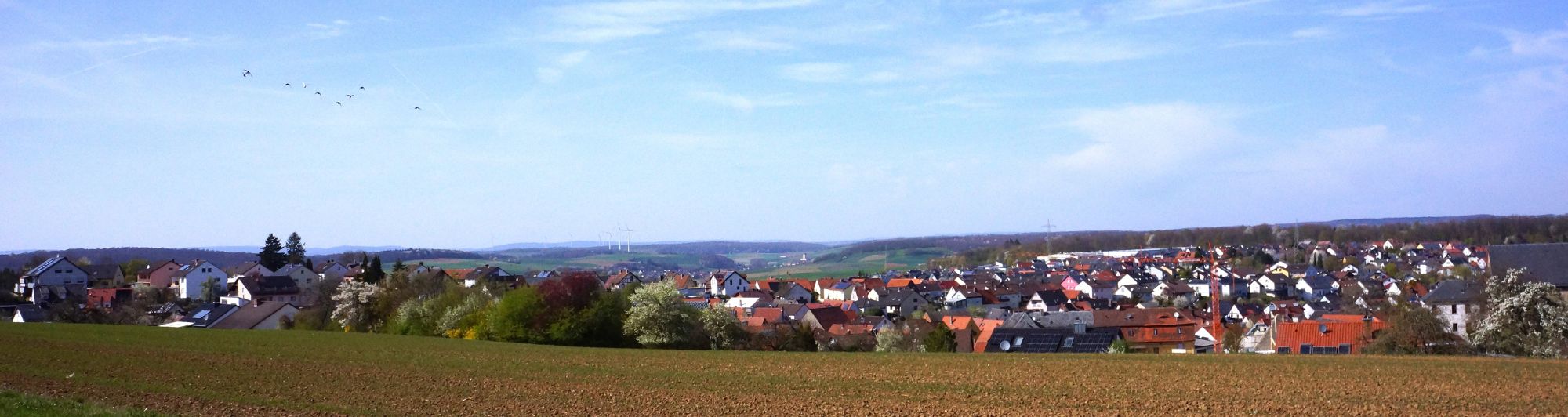 Waldbrunn_2_2000x532