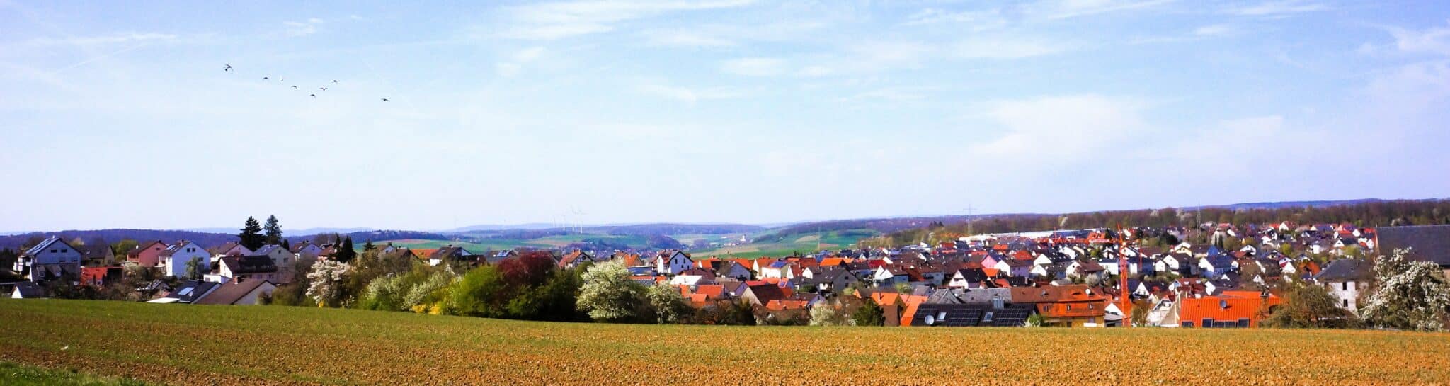 Waldbrunn_2_hell